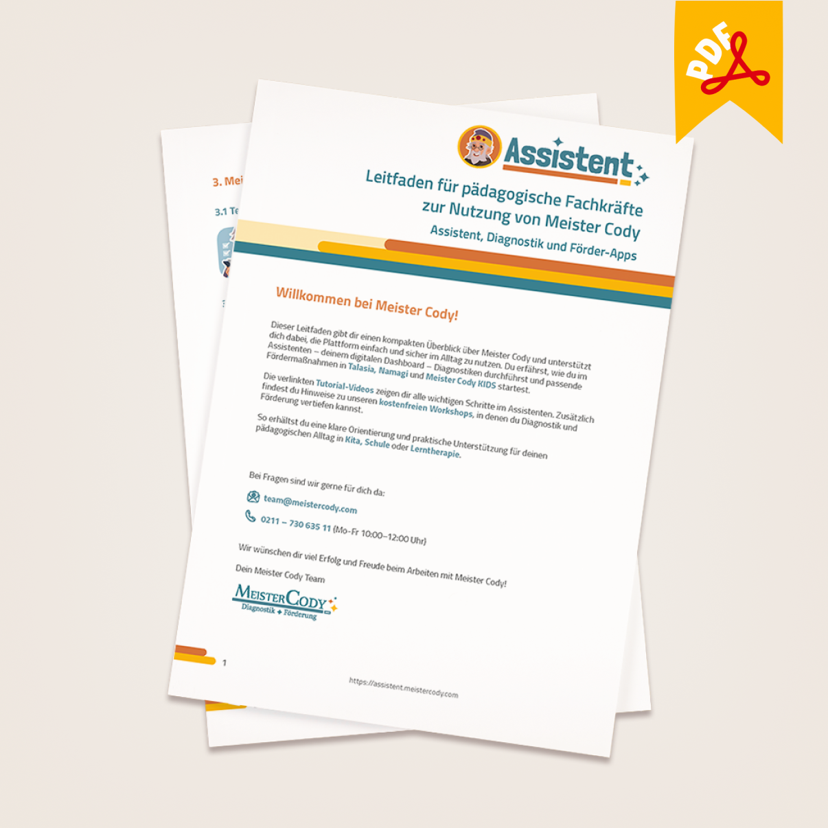 Leitfaden „Willkommen bei Meister Cody“ (PDF)